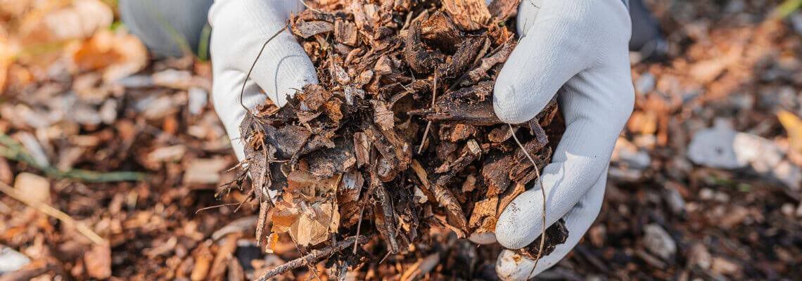 [paste advice page name here]